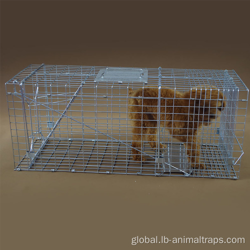 Live Cage Trap Collapsible Live Animal Trap Catch Supplier